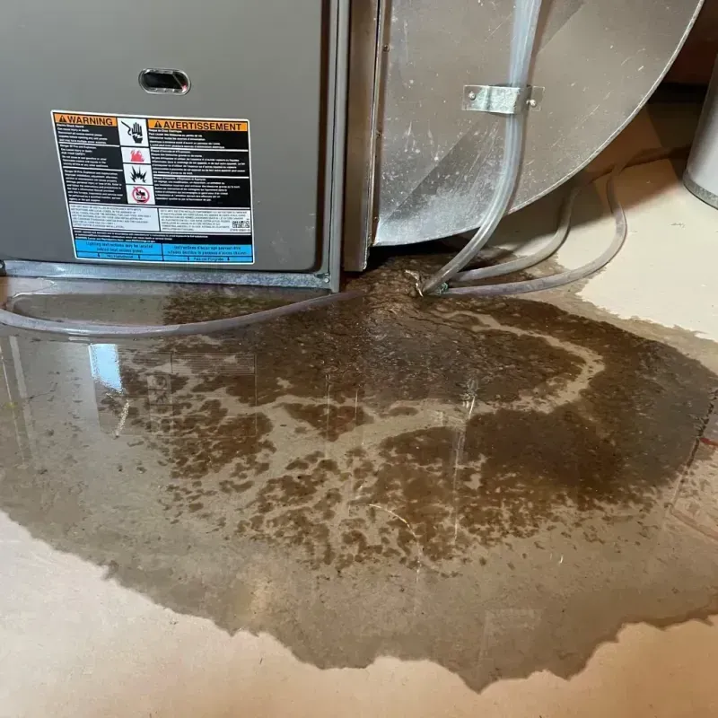 Appliance Leak Cleanup in Winamac, IN